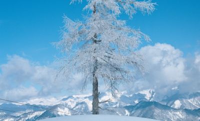 winter in south carinthia